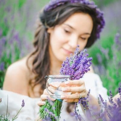 Salvia: propriedades e contraindicações